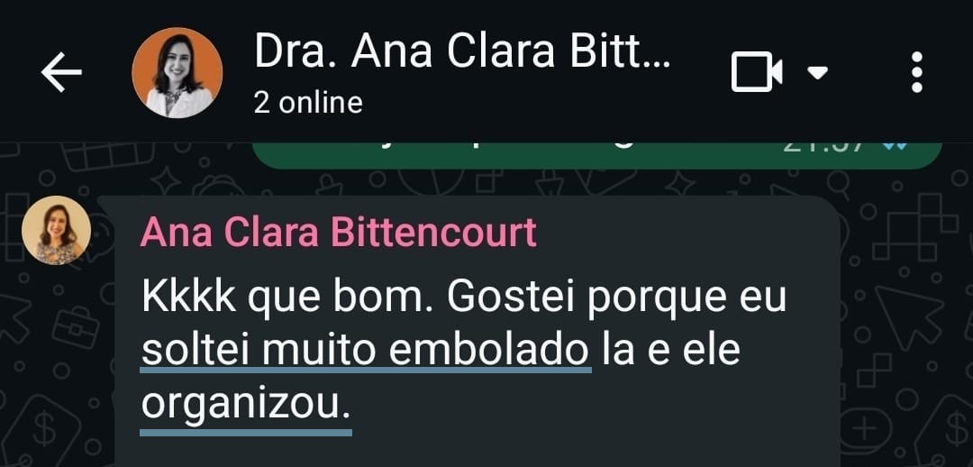 Relato no WhatsApp: a plataforma organizou uma ideia explicada de forma embolada.